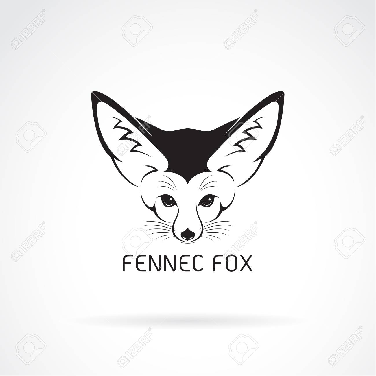 Free Download Vector Of Fennec Fox Head On A White Background Wild Animals 1300x1300 For Your Desktop Mobile Tablet Explore 56 Fennec Background Fennec Background