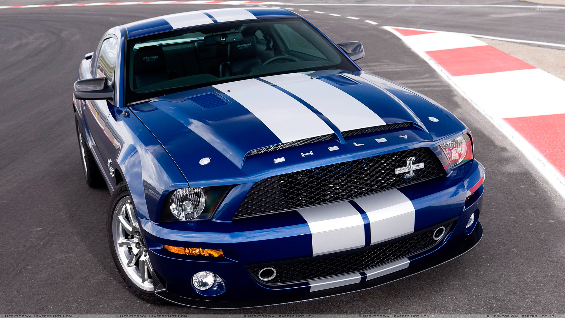 Ford Shelby HD Wallpaper Background