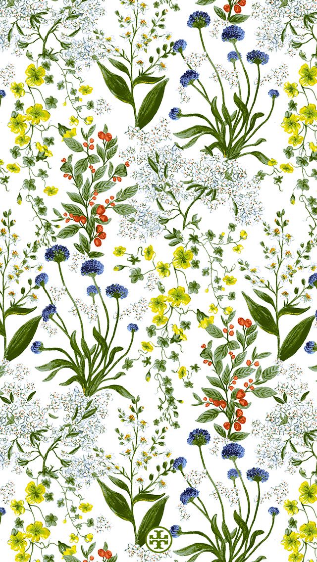 Best Botanical iPhone Wallpaper Image Background