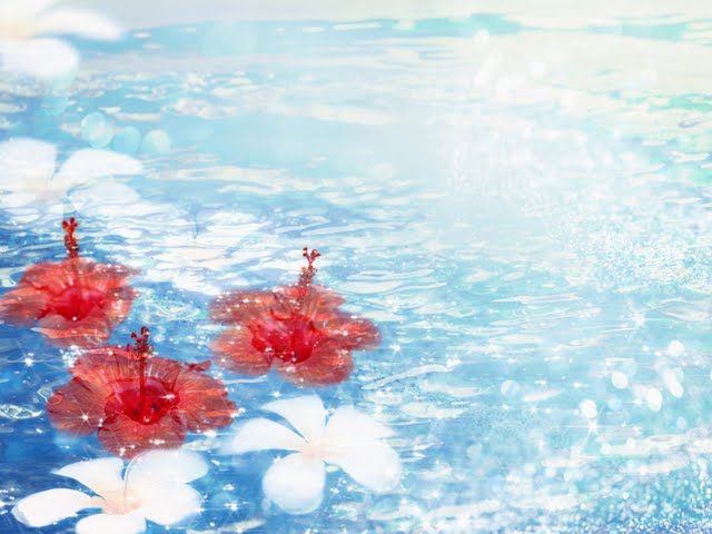 Tropical Flowers On Water Shining And Dreamy Cg Wallpaper