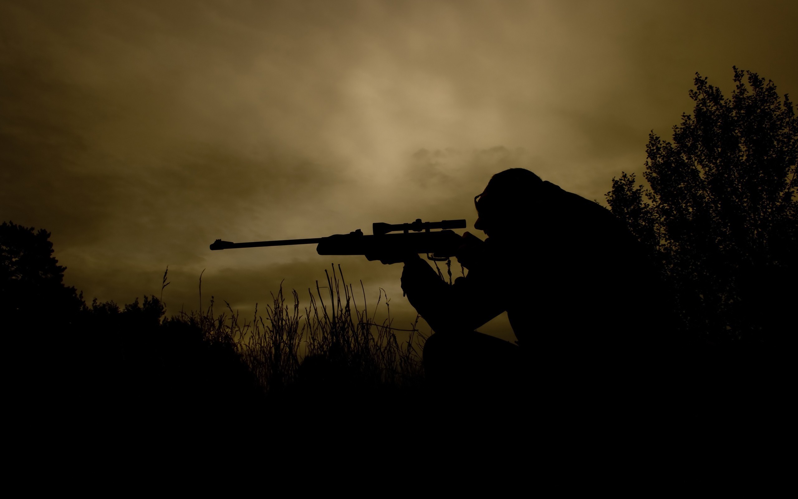Desktop Wallpaper Sniper Rifle Snipers Soldiers Silhouettes Army