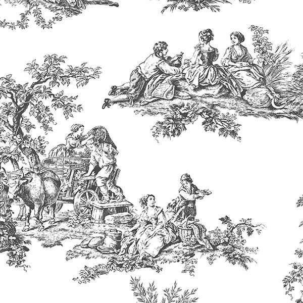 Ch22508 Black And White Toile Wallpaper Traditional By