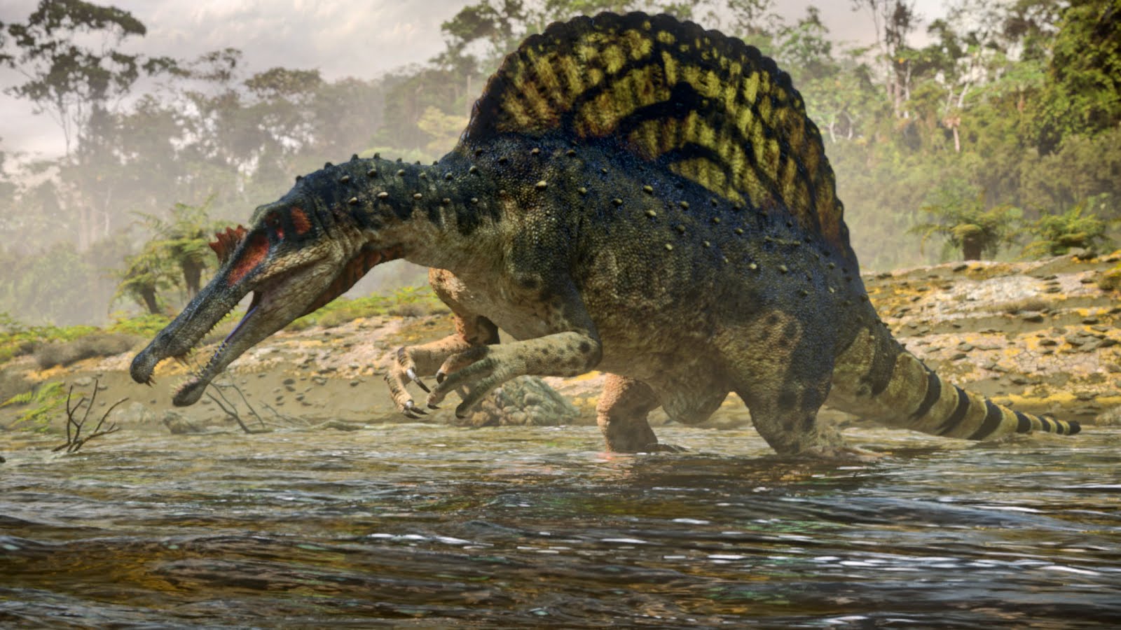 Spinosaurus Dinosaurs Image