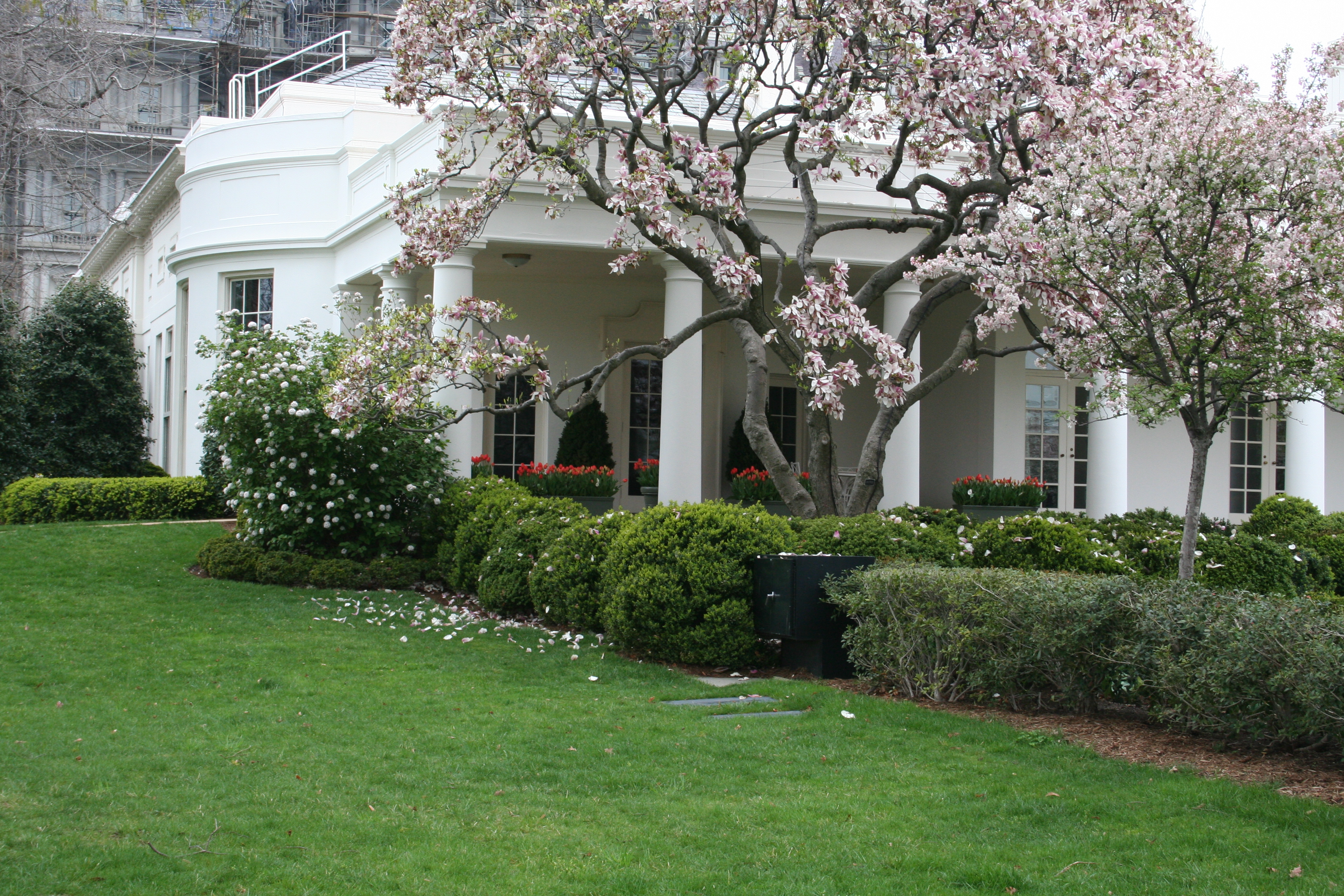 White House Gardens Desktop Background Wallpaper
