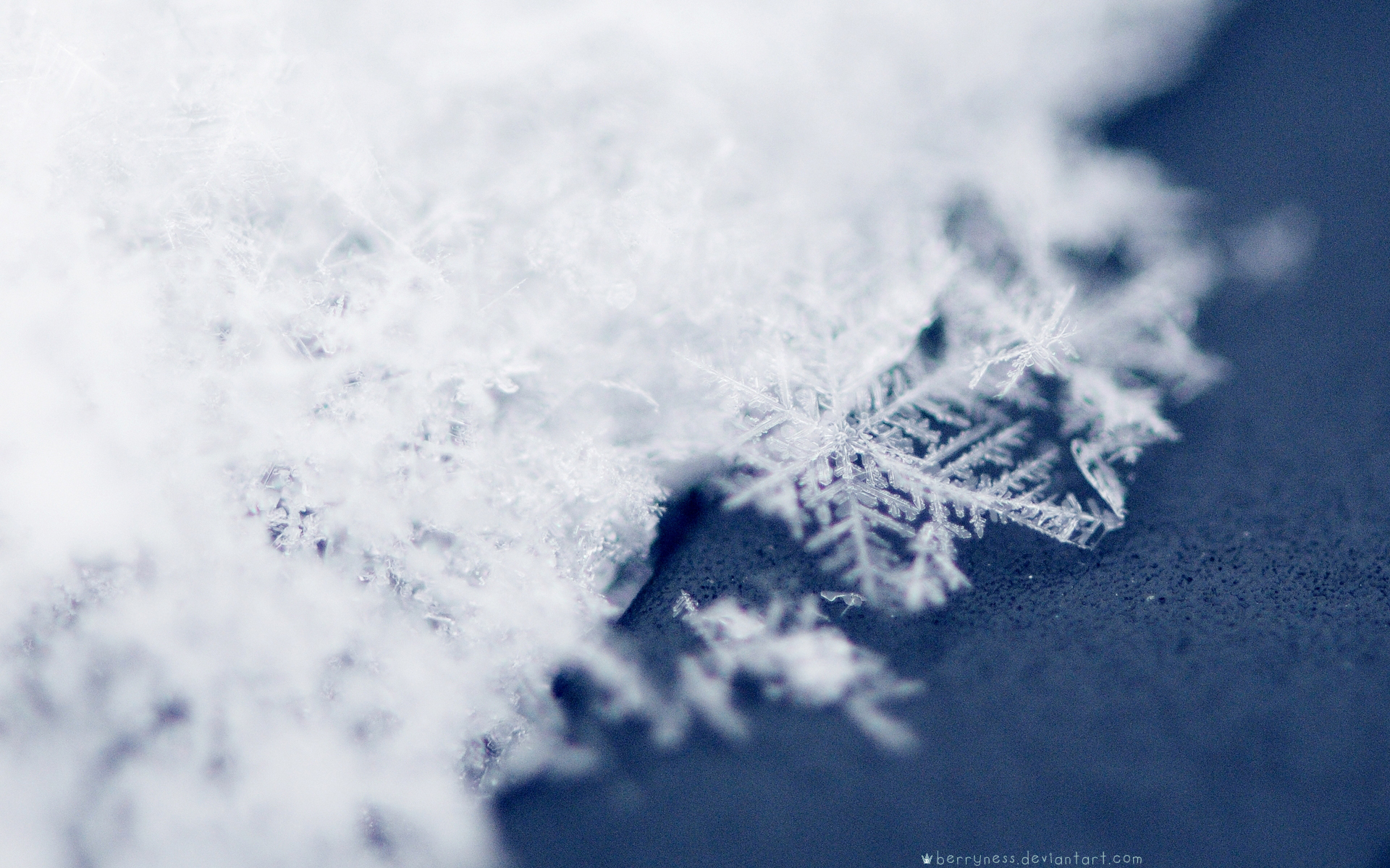 Snow Snowflakes Wallpaper