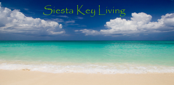 Short Information About Siesta Key Beach Sarasota Florida