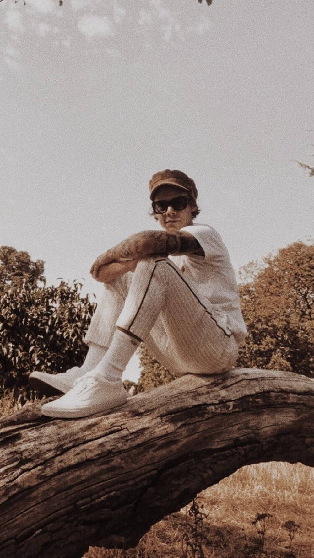 Harry Styles Aesthetic Wallpaper