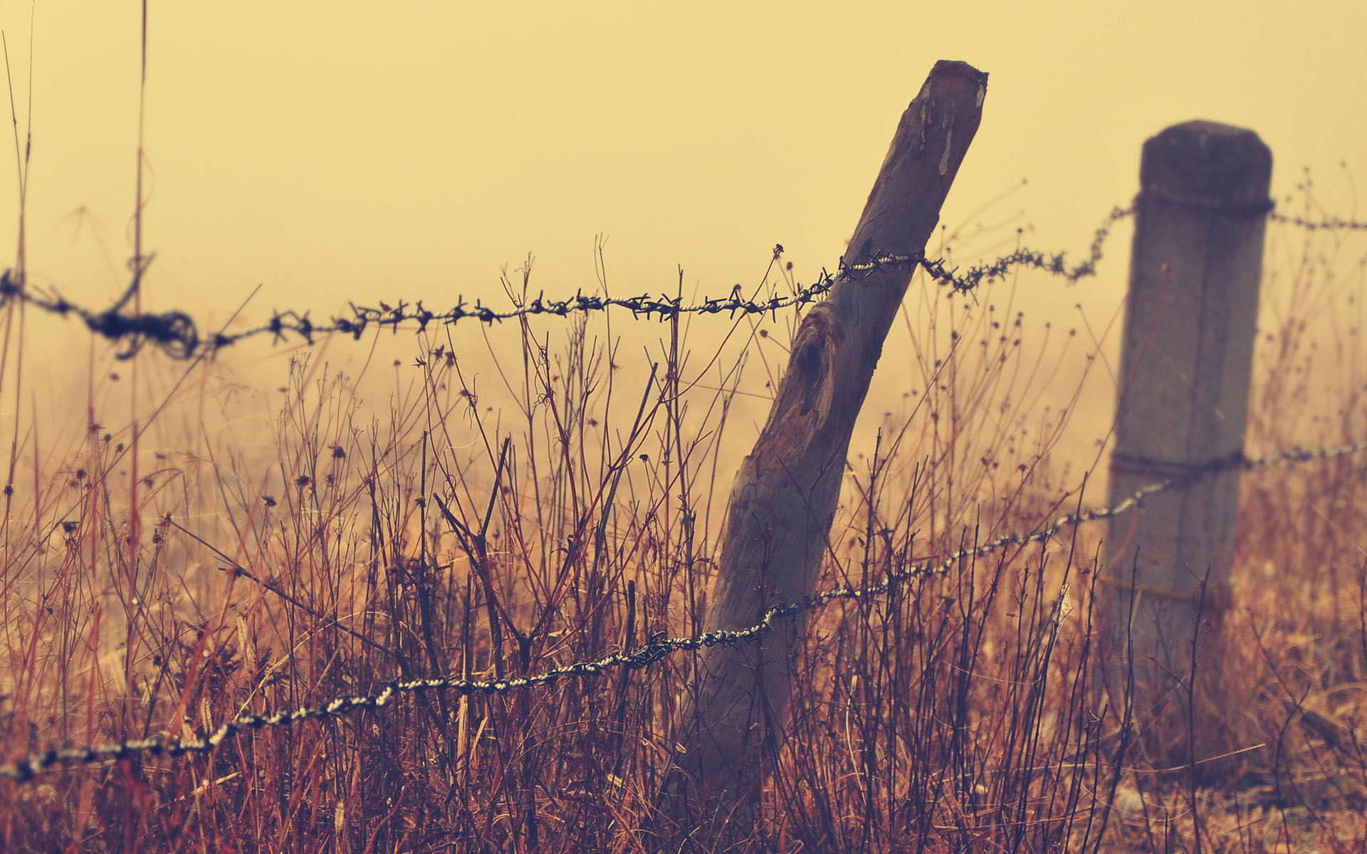 Barbed Wire Close Up Wallpaper Desktop Background Scenery