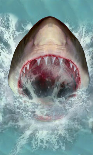 Away Shark Attack Live Wallpaper Is The Best