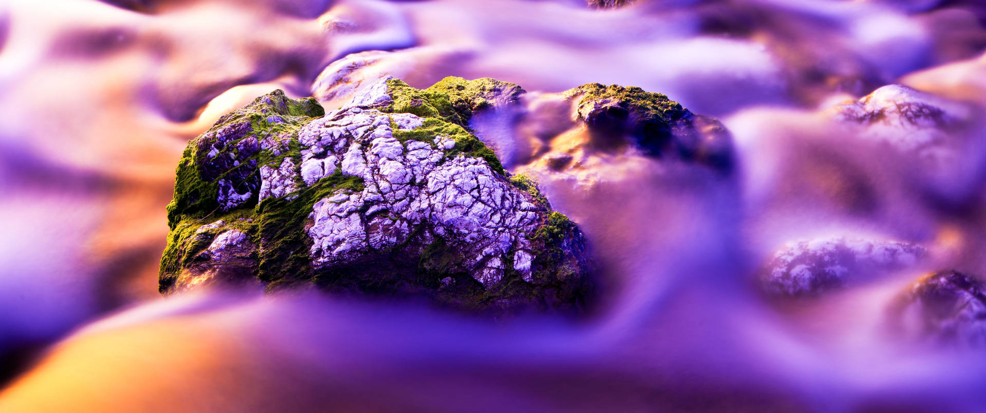 Trendy Aesthetic Wallpaper