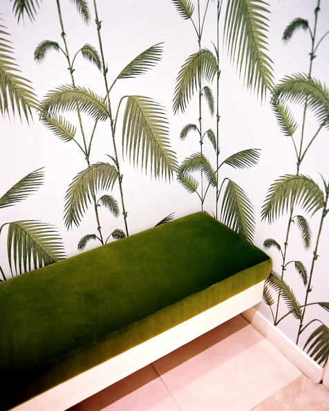Green Retail Store Design Palm Frond Wallpaper And A Bench In