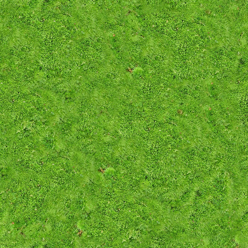 Green Grass Field Vegetation Lawn Grassland Carpet