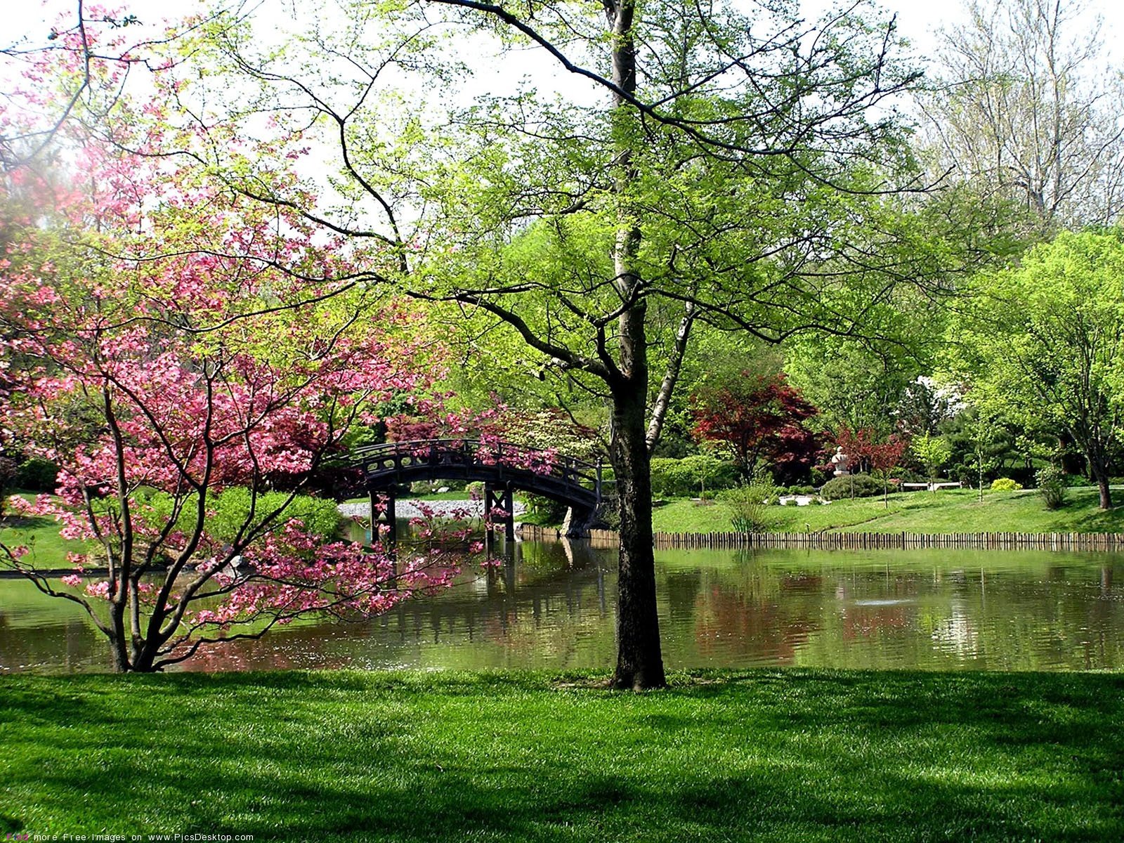 Nature Springtime Free Desktop Wallpapers for PC amp Mac