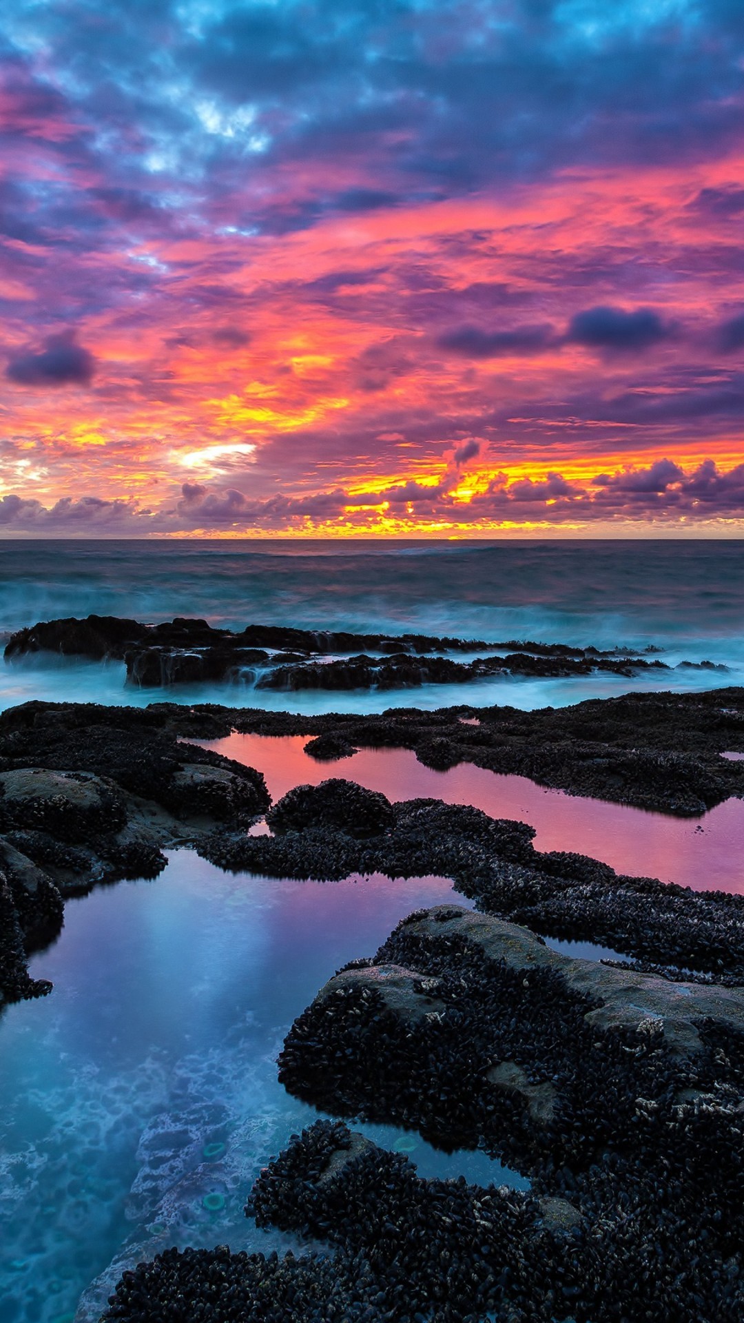 Colorful Sunsets Wallpaper