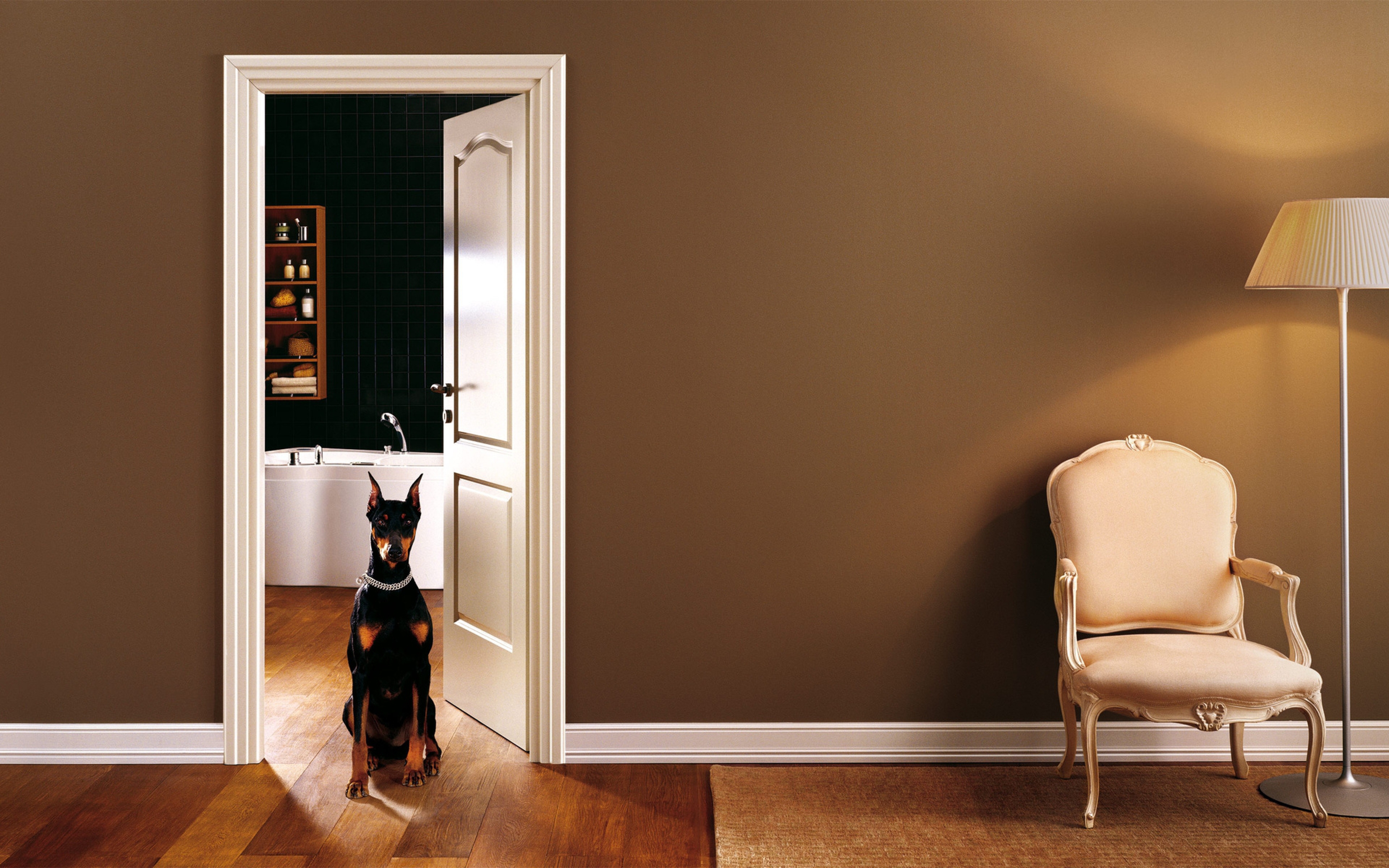Interior Dog Door Entrance Hall Wallpaper Background Ultra HD 4k