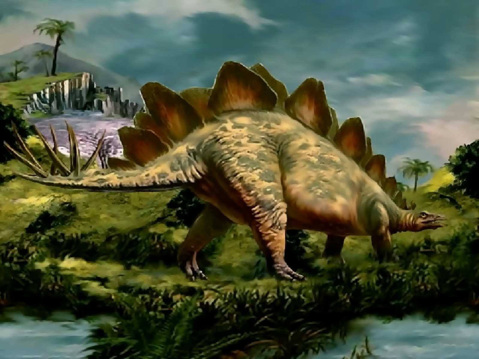 Dinosaur Wallpaper Dinossauros