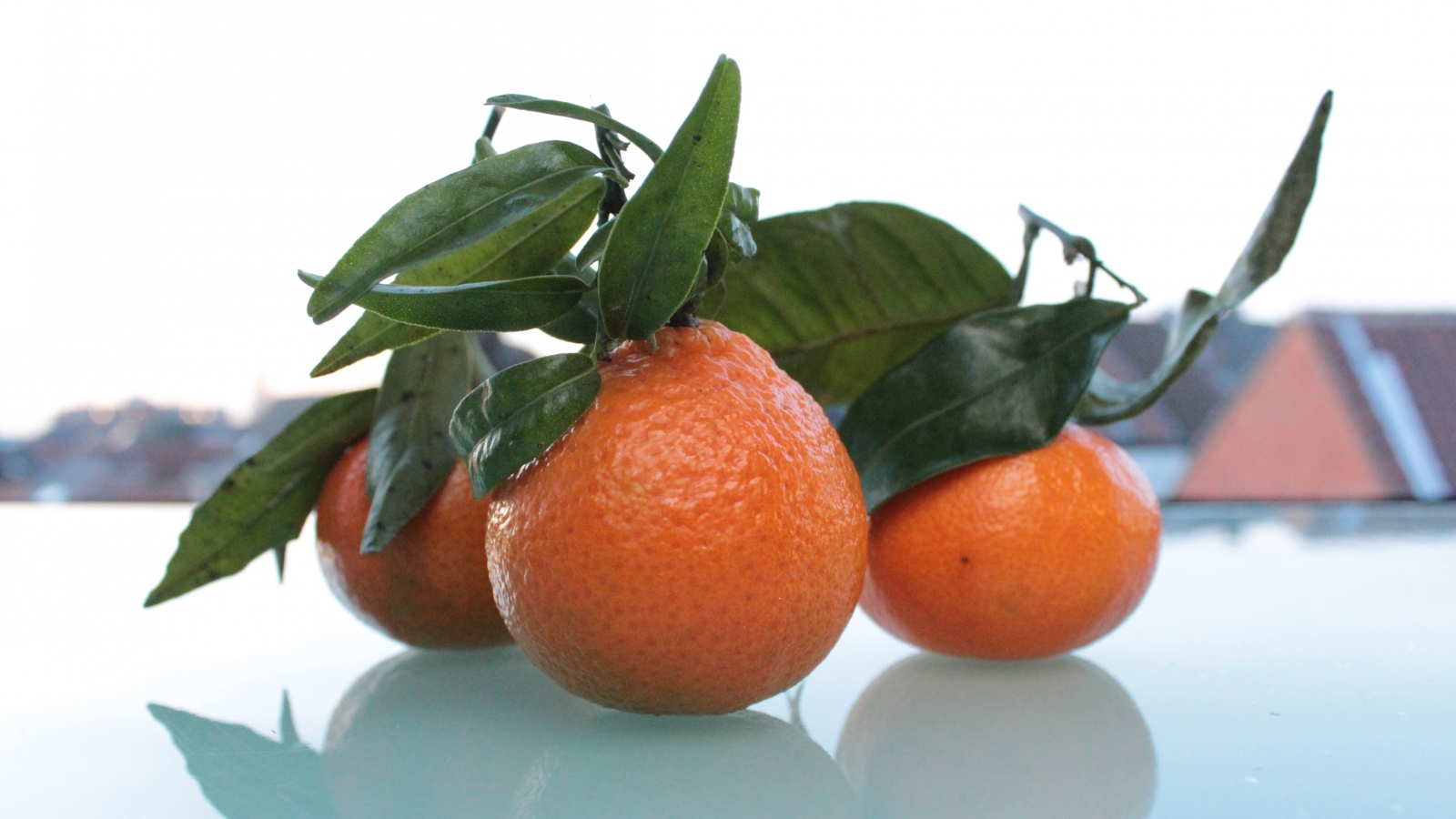 Wallpaper Tangerines Fruit Citrus