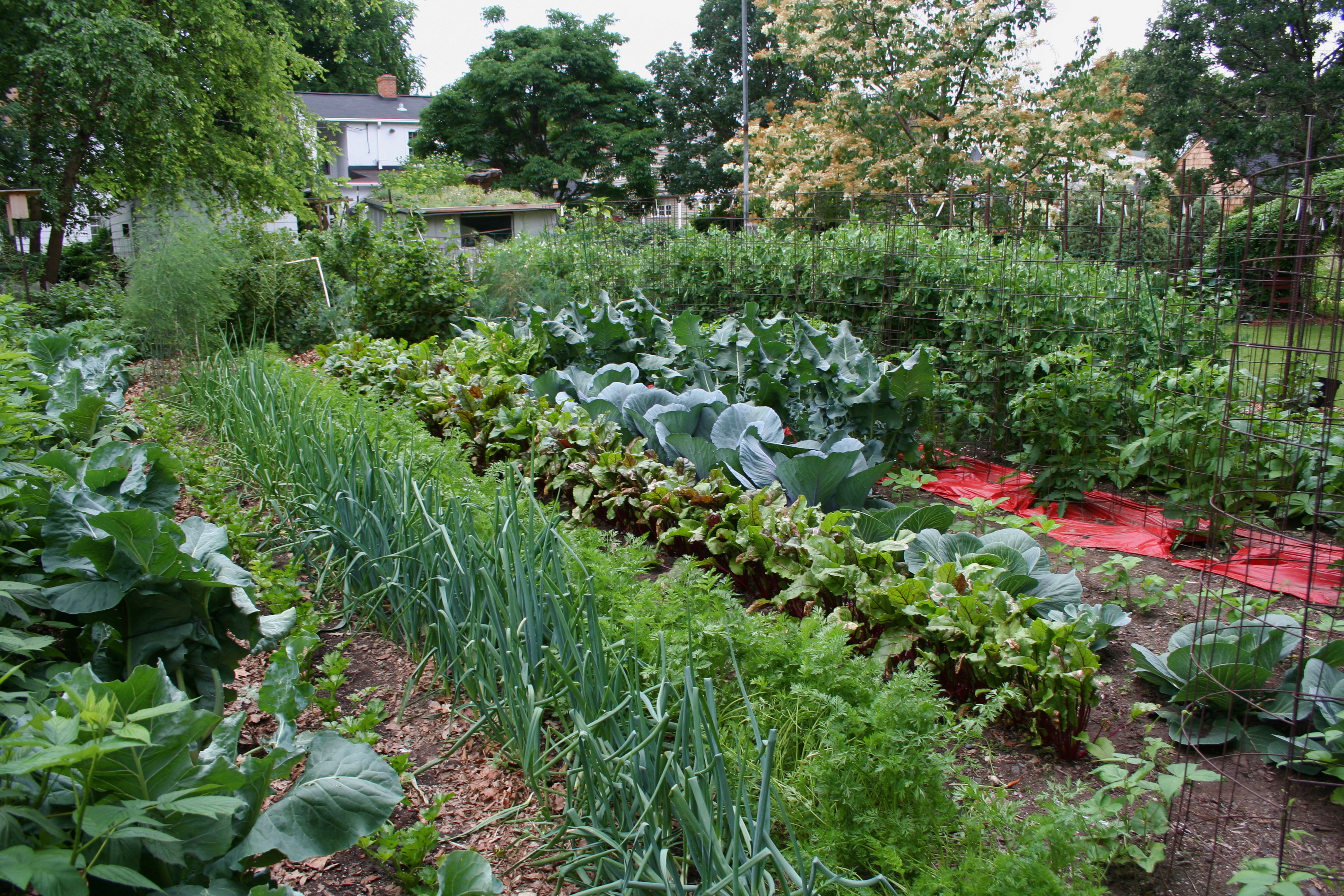 free download vegetable gardening