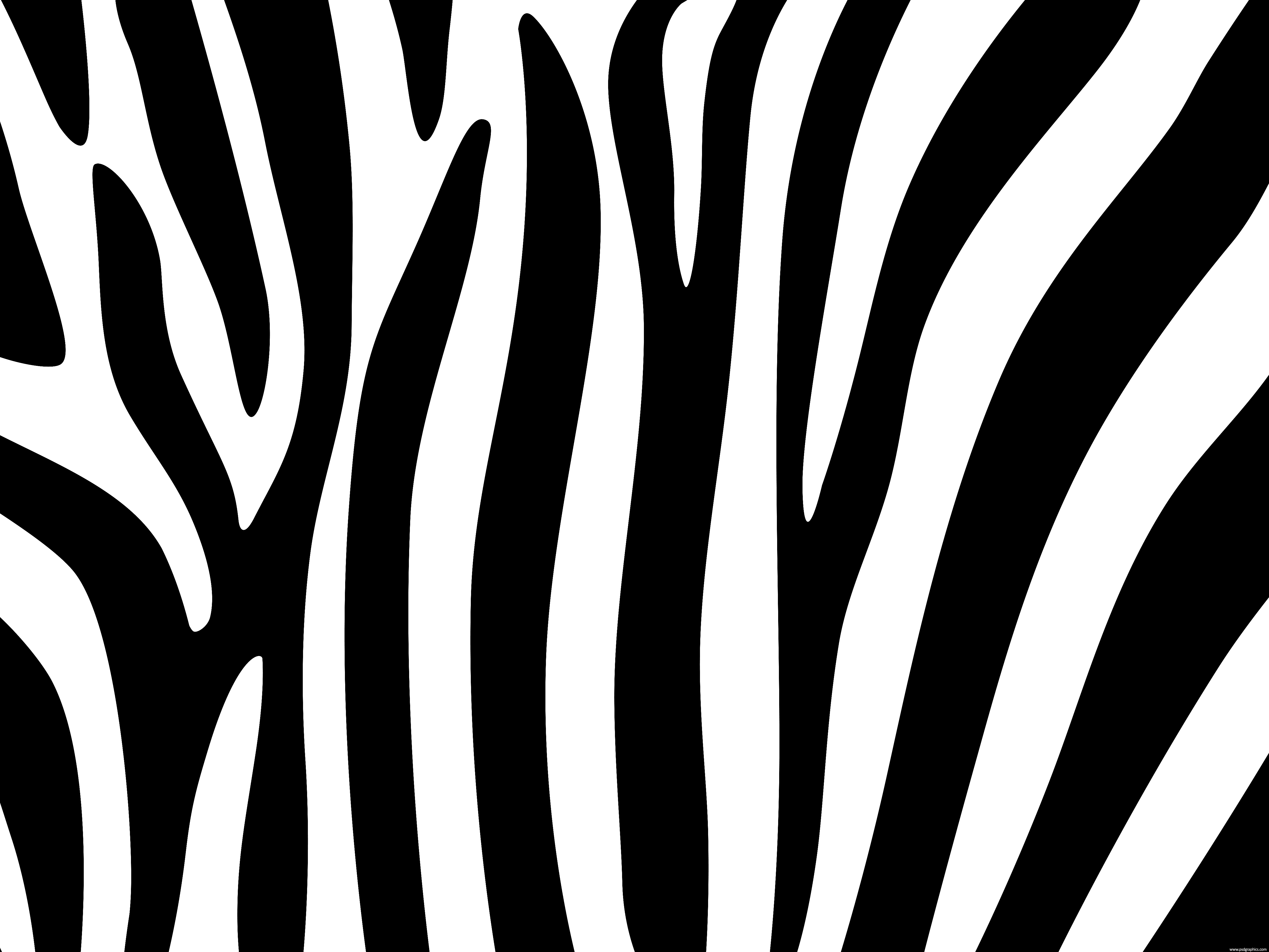 Zebra Stripes Nail Art Design - wide 6
