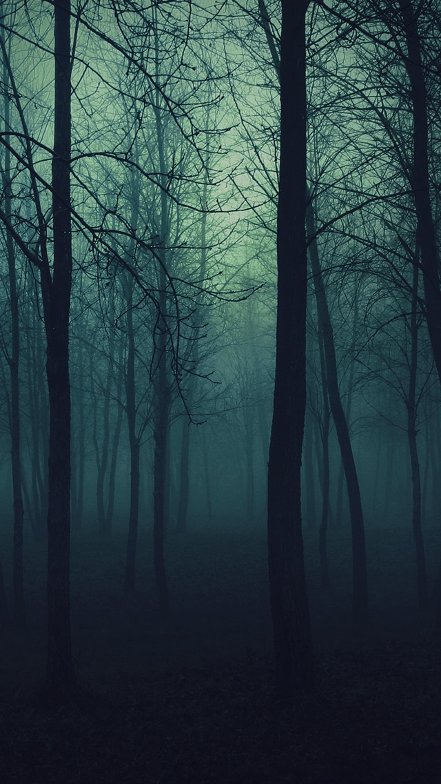 Dark Forest iPhone 5s Wallpaper iPad