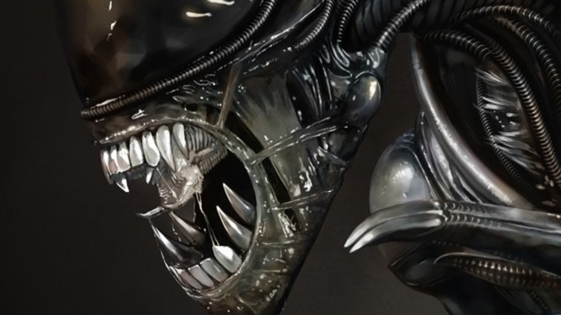 Alien Computer Wallpaper Desktop Background Id