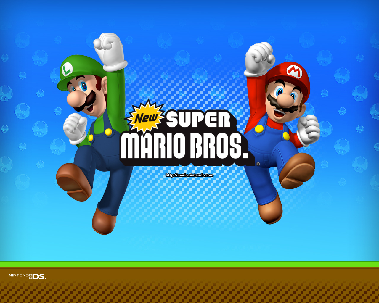 Promotional art for New Super Mario Bros. featuring Mario and Luigi jumping in front of a blue background with mushroom patterns