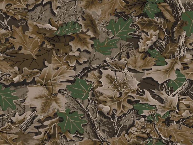 In Elements Shadows Camo Hen Of The Wood Layout Oak