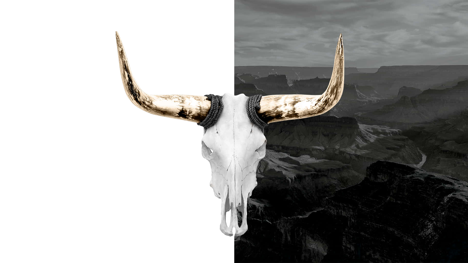 Bull Skull Wallpaper