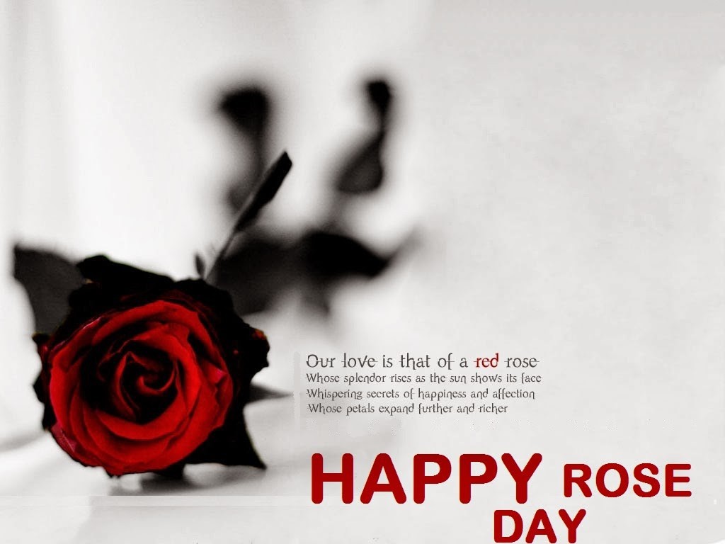 Happy Rose Day Quotes Image New HD Wallpaper