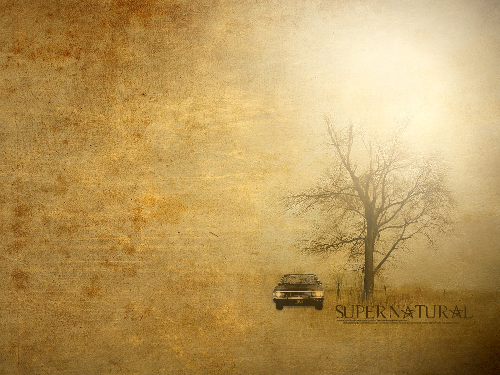 Supernatural Image Impala HD Wallpaper And Background Photos