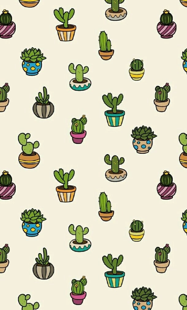 Cactus Aesthetic Wallpapers  Wallpaper Cave