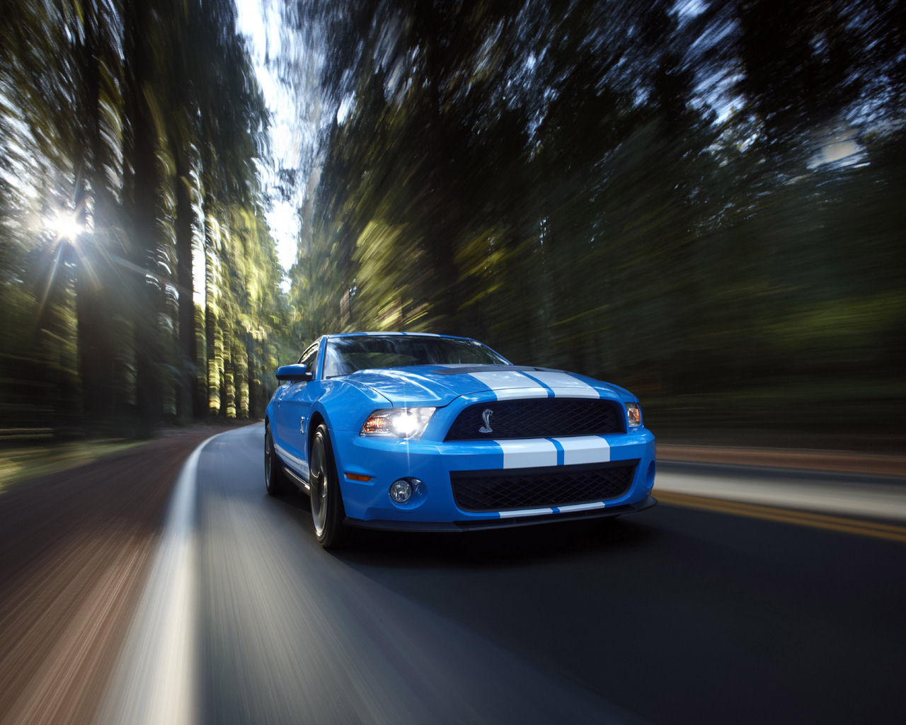 Ford Mustang Shelby Gt500 Convertible Wallpaper