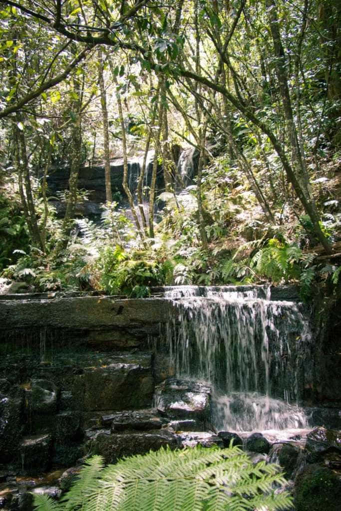 Blue Mountains National Park Wallpaper