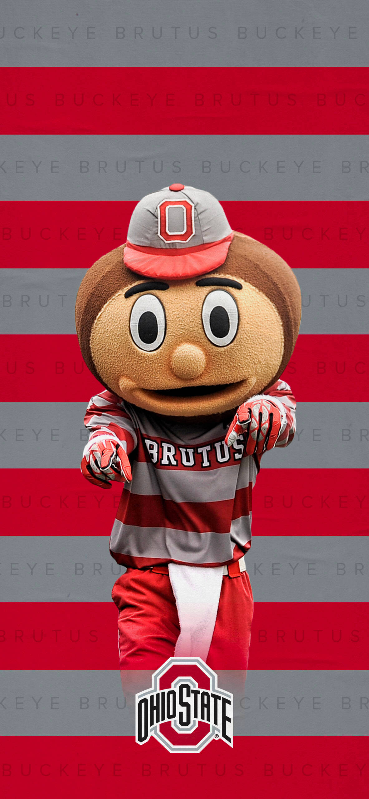 Ohio State University Mascot Portrait Wallpaper