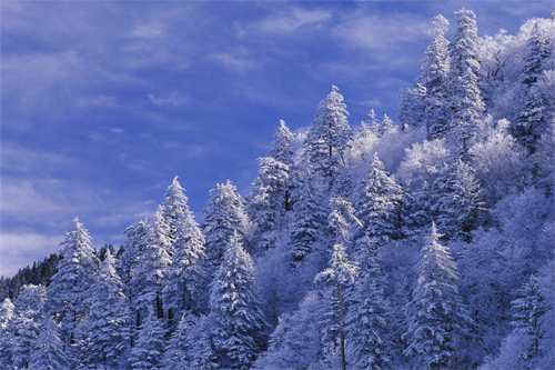 Beautiful Christmas And Winter Wallpaper For Your Desktop Noupe