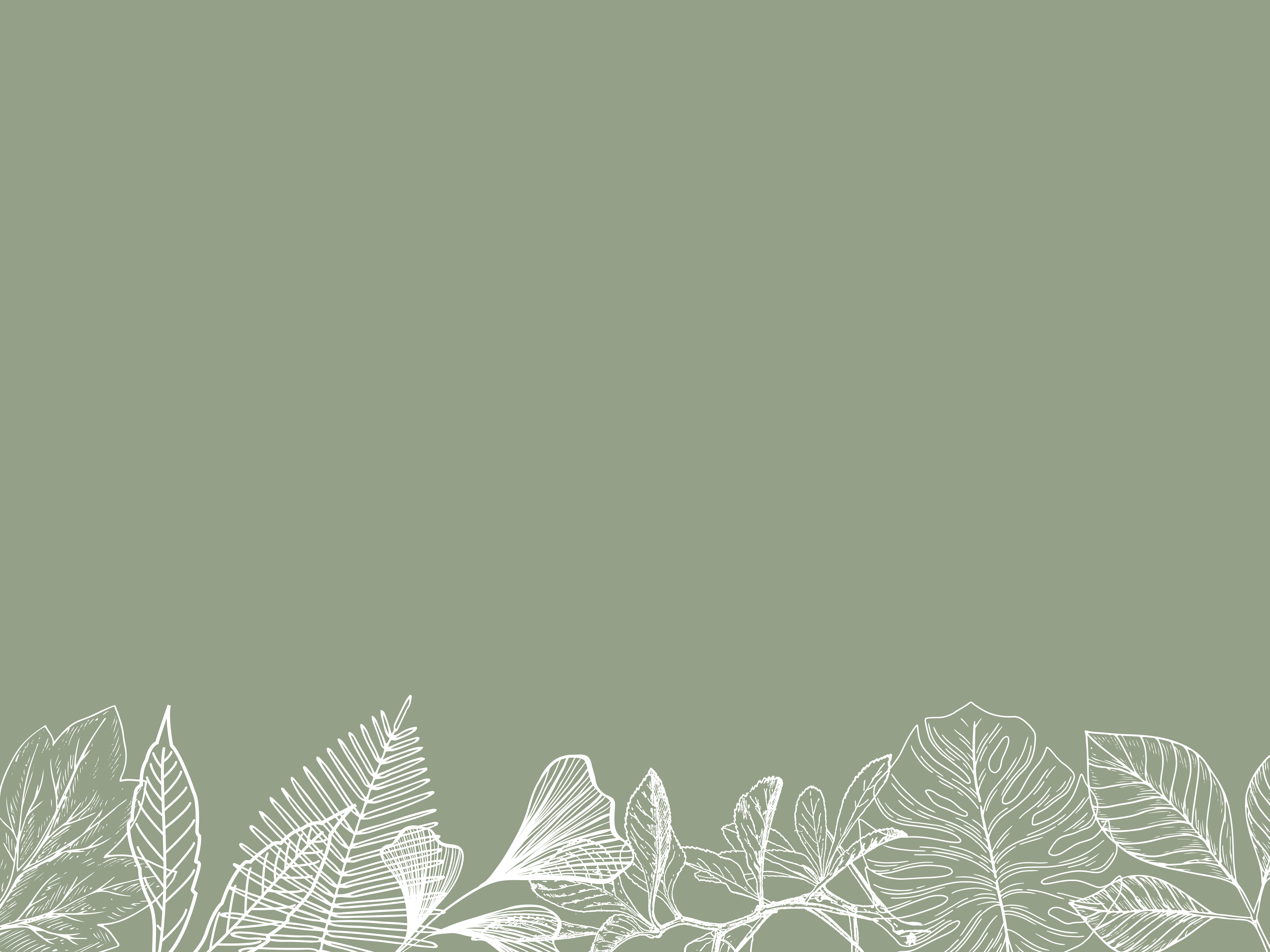 Sage Green Wallpaper With White Leaves