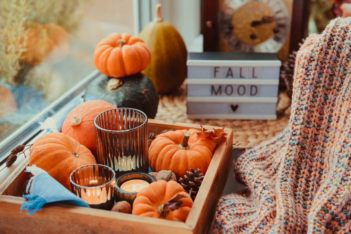 Fall In Love With These Cozy Autumn Room Decor Ideas Wallpaper