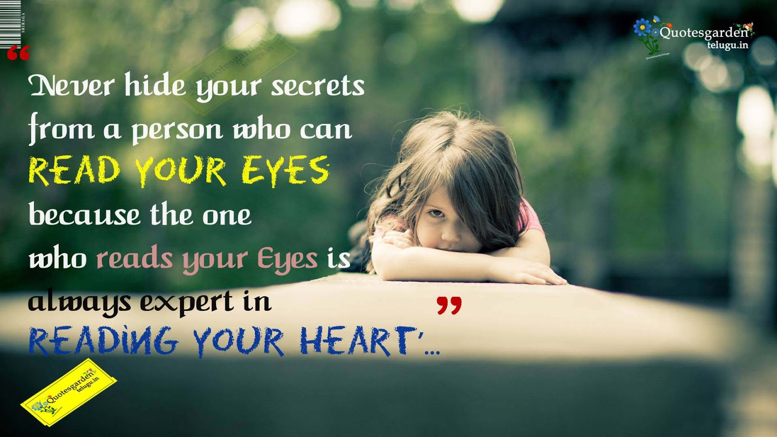 Heart touching Quotes with hd wallpapers 774 QUOTES GARDEN
