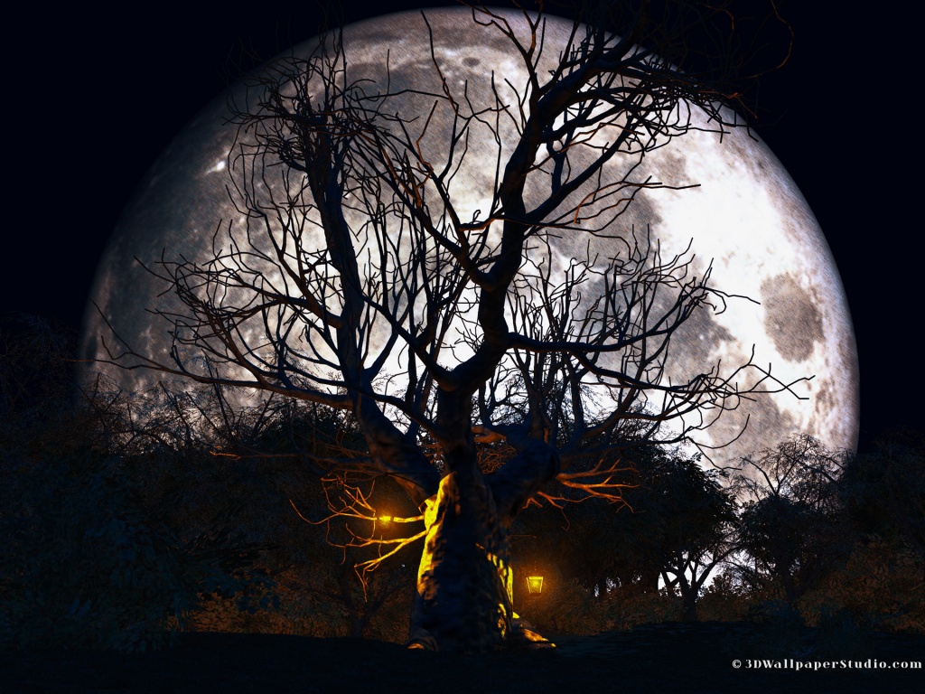 Halloween Forest Wallpaper In Screen Resolution