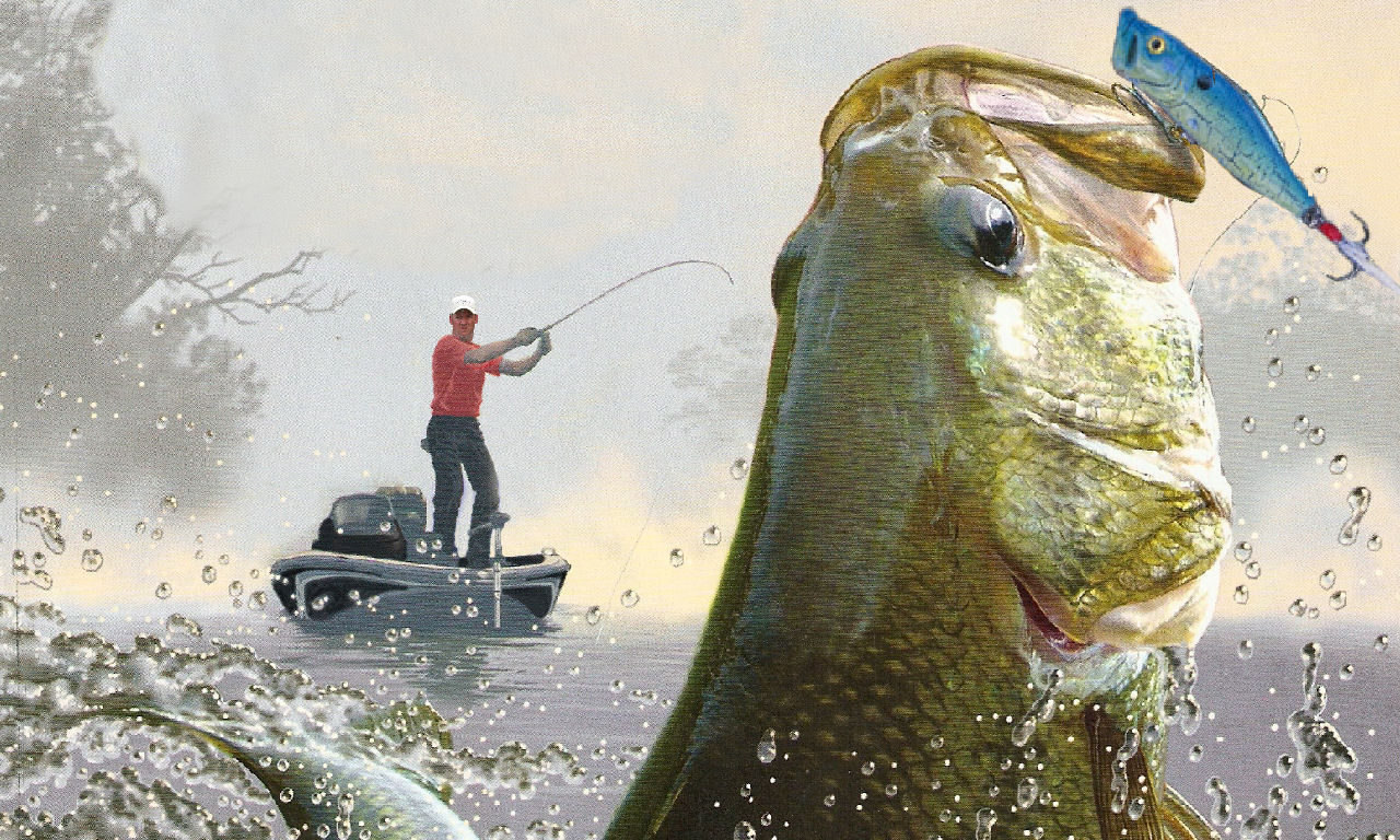 Bass Fishing Wallpaper HD - WallpaperSafari