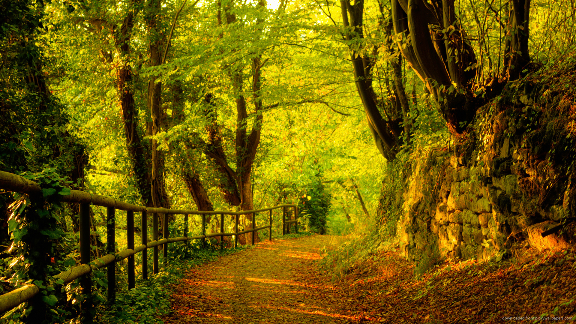 Autumn Wallpaper Road Countryside Nature