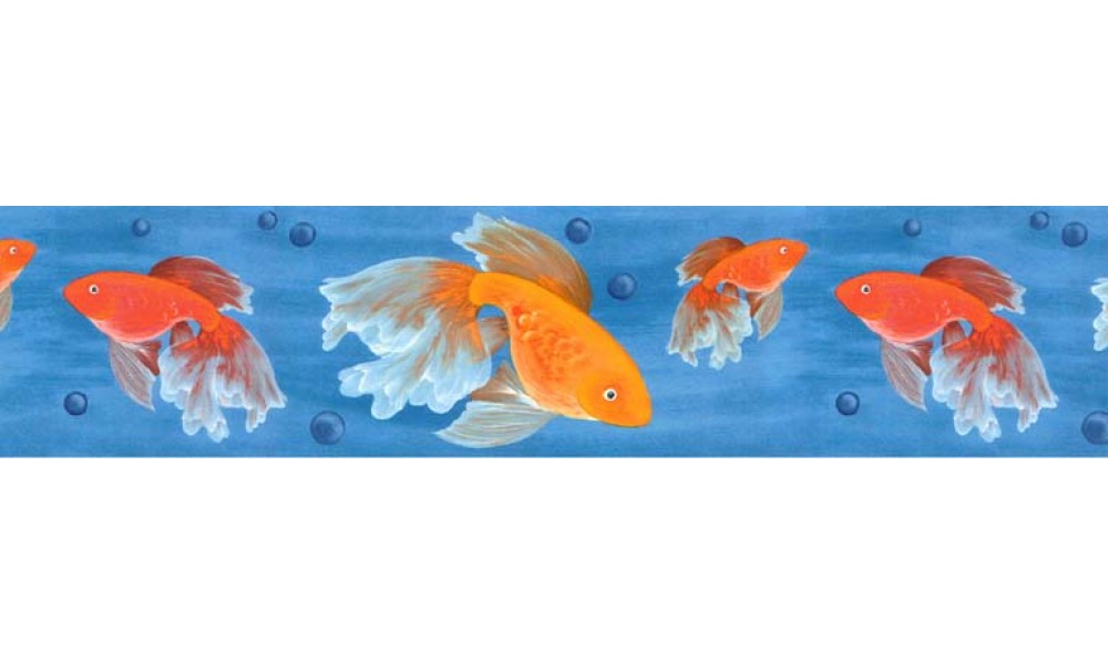 Free download Wallpaper Borders Animal Borders Fish Fish Wallpaper
