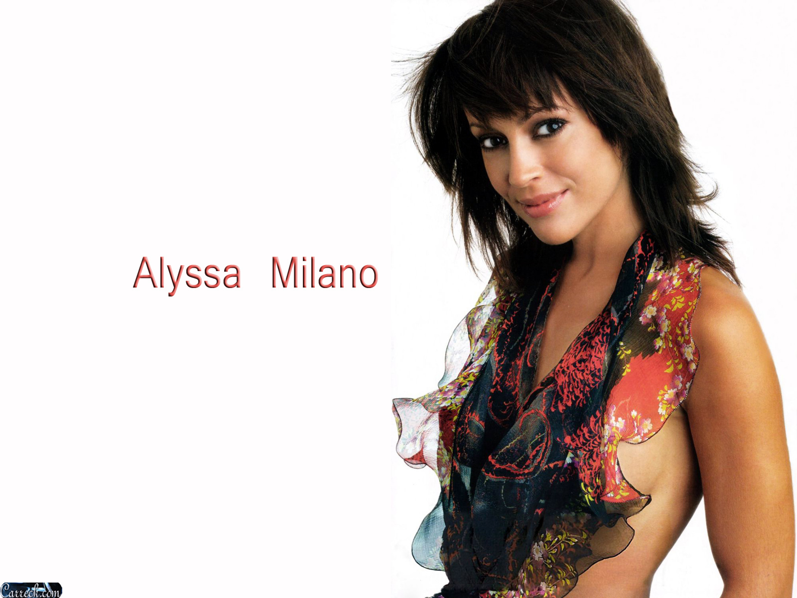 Alyssa Milano Wallpaper Image Photos Pictures Background