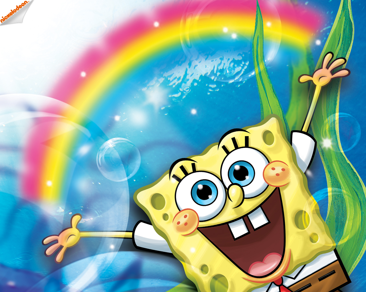Spongebob Squarepants HD Wallpaper