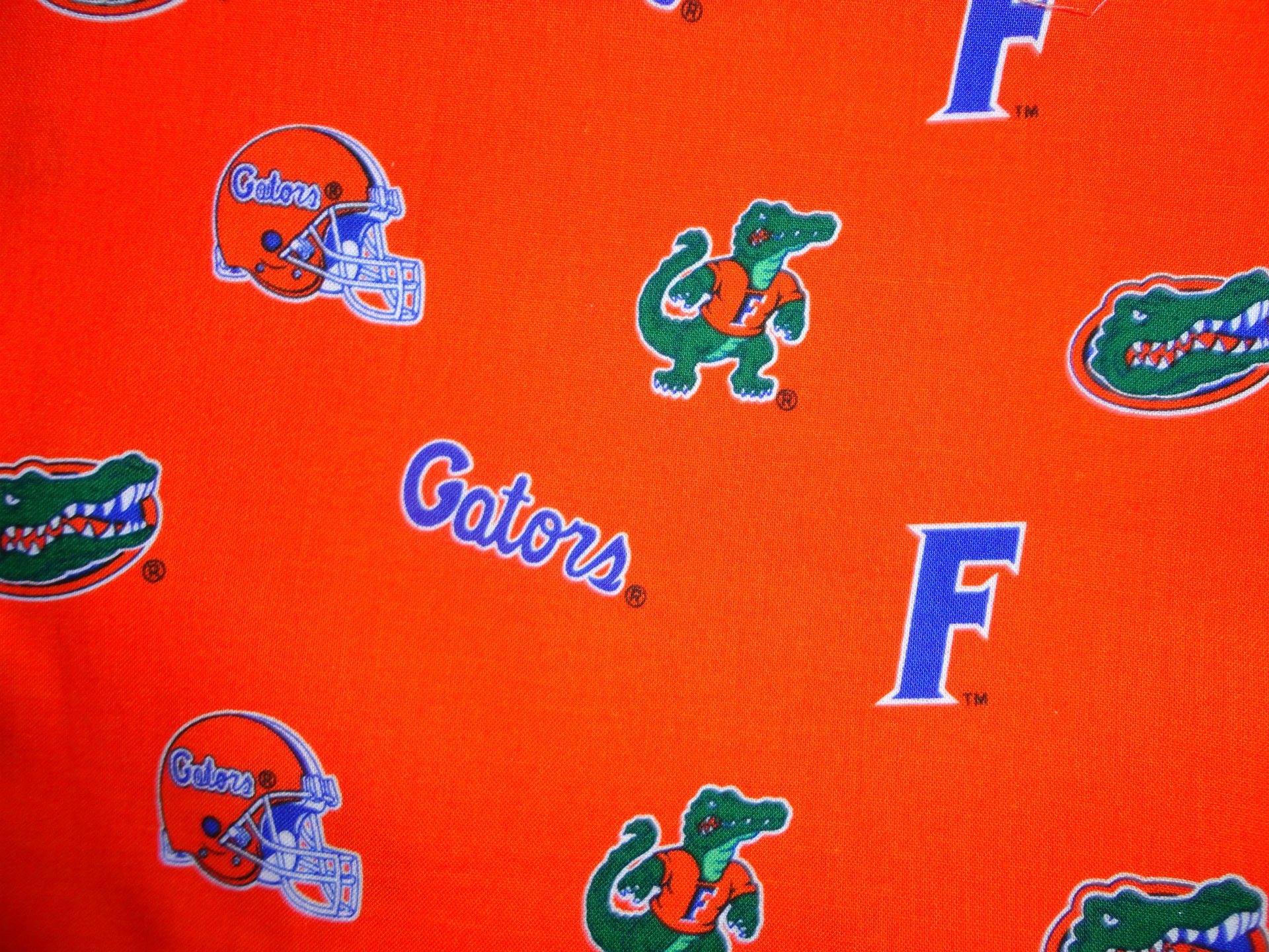 Florida Gators College Football Wallpaper