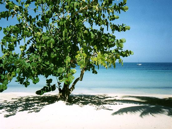 Negril Jamaica Beach Photo Pic Photosjunction