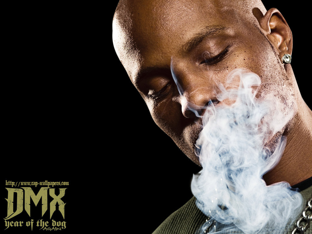Dmx Image Wallpaper HD And Background
