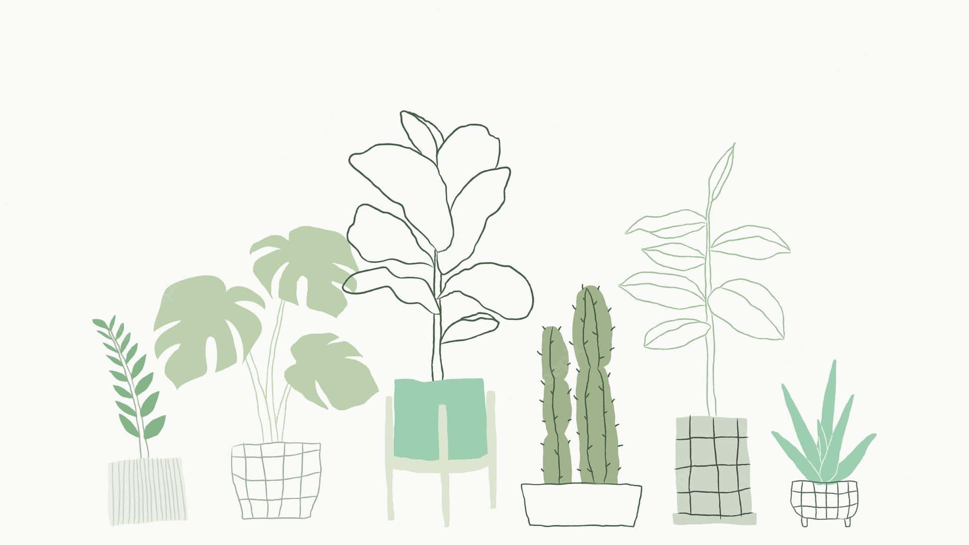 Plant Aesthetic Laptop Wallpaper