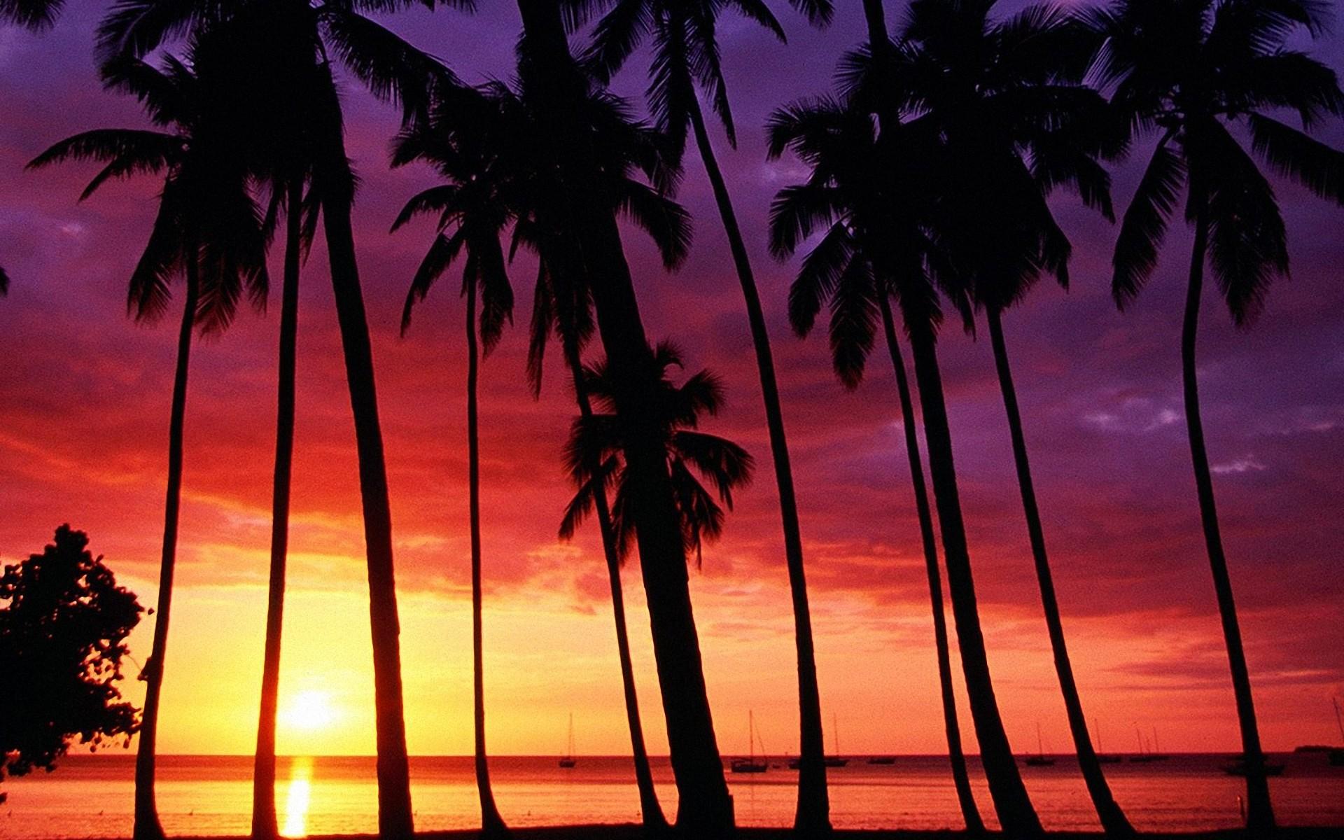 Wallpaper Tropical Island Sunset HD