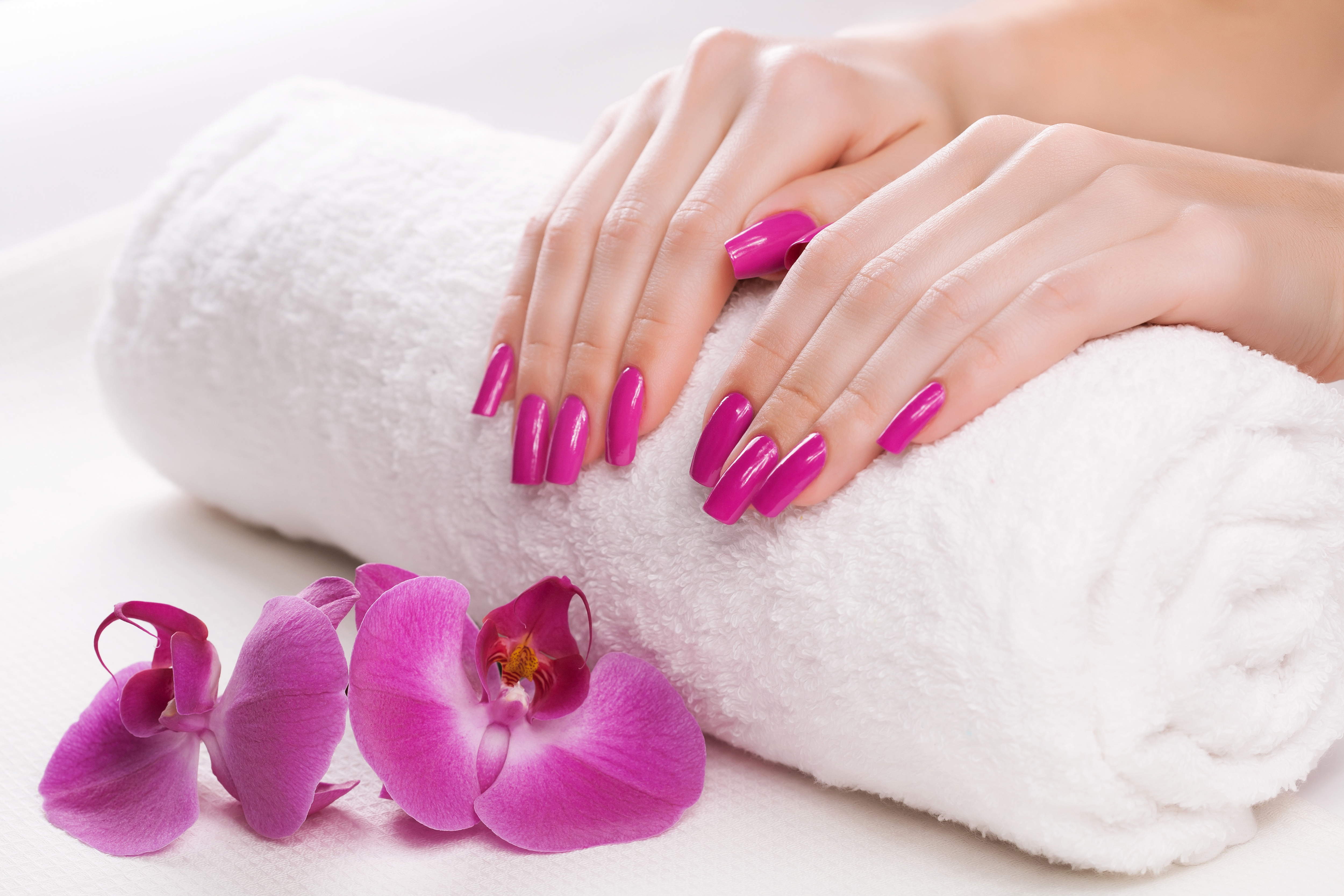 Manicure With Purple Orchids Background Gallery Yopriceville